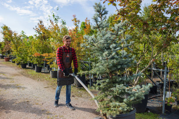 Best Hazardous Tree Removal  in Sprague, WV